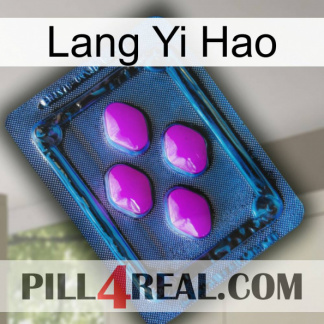 Lang Yi Hao 04
